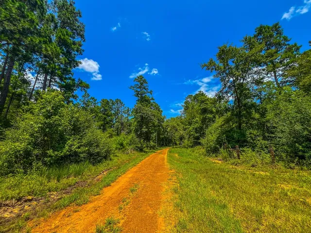 a view of a yard with a tree