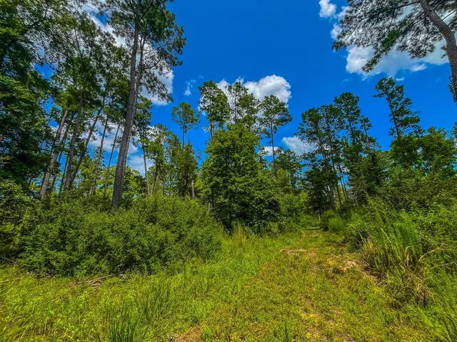 a view of a lake with a yard