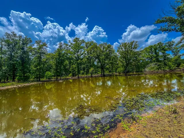 a view of a lake with a building in the background
