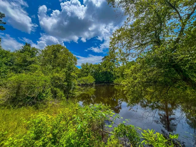 a view of swimming pool from a window
