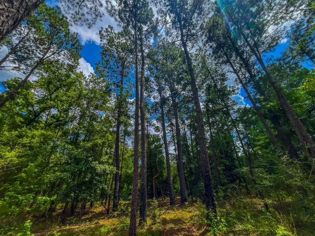 a view of an outdoor space