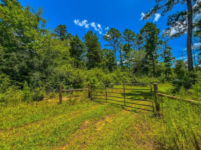a view of a garden with an outdoor space