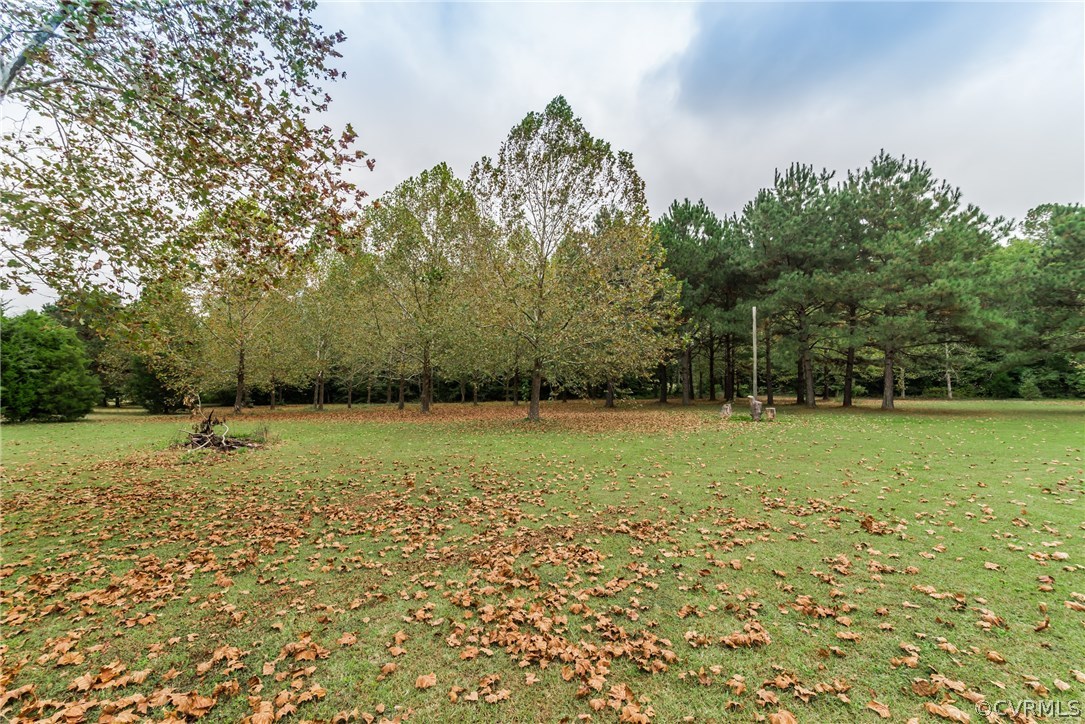17445 Loving Union Road Disputanta, VA 23842 - Photo 40 of 50 a view of a field with trees