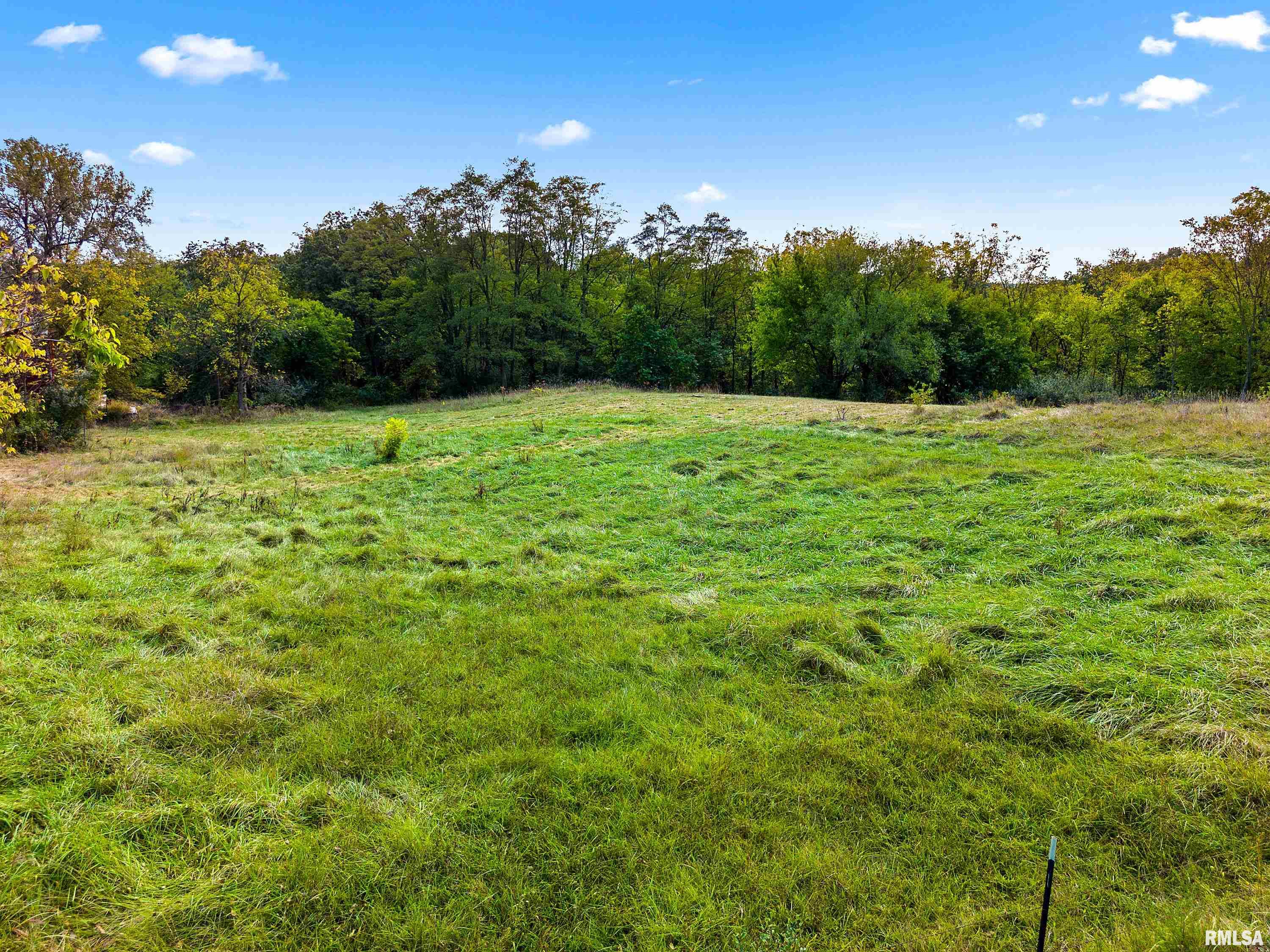 606 Thatcher Lane Metamora, IL 61548 - Photo 7 of 55