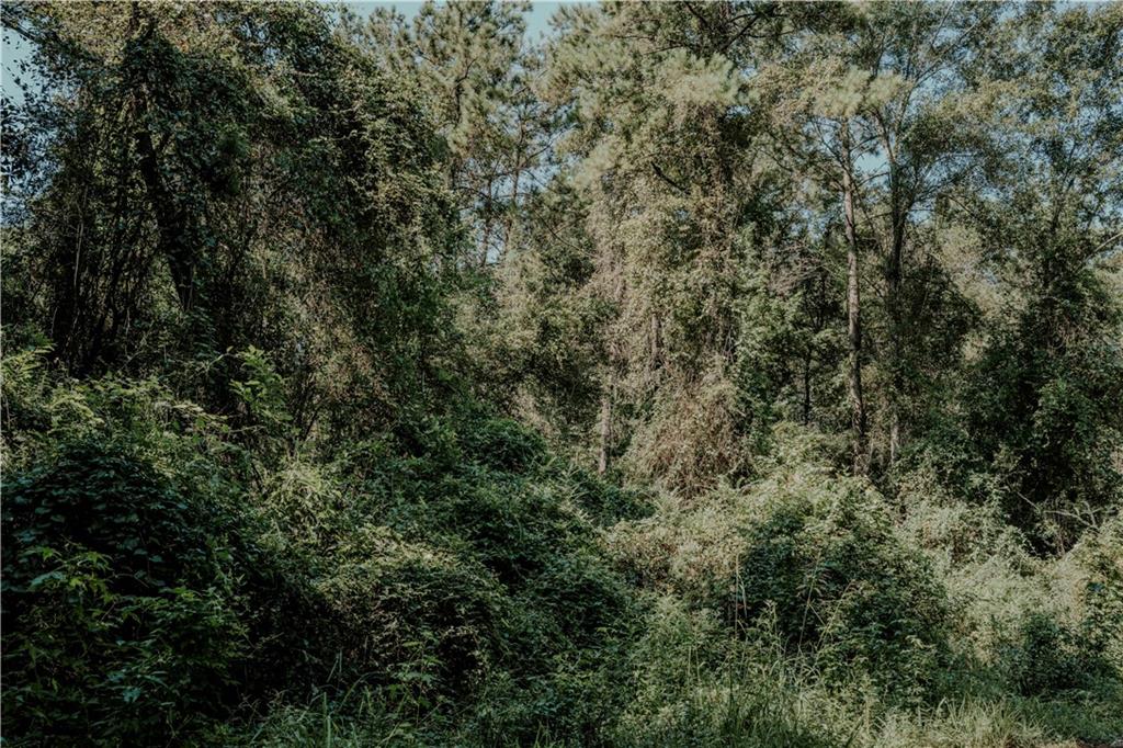 0 Hwy 1083 (ben Williams Road Covington, LA 70435 - Photo 44 of 47 Gallery Image 44