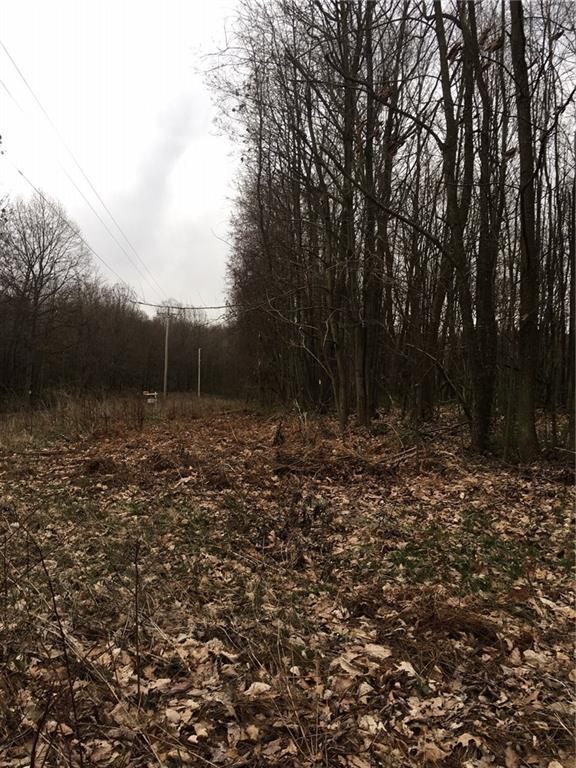 0 Game Reserve Road Butler, PA 16002 - Photo 3 of 12