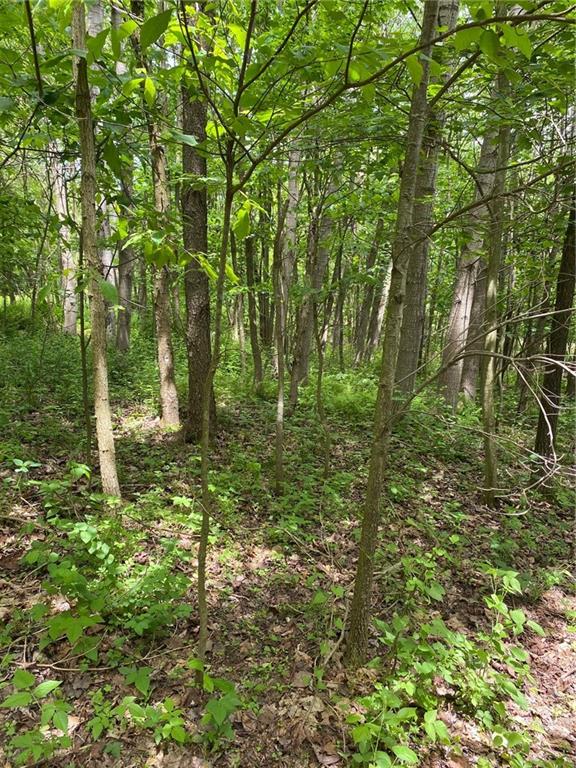 0 Game Reserve Road Butler, PA 16002 - Photo 8 of 12