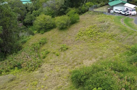 a view of a garden with plants