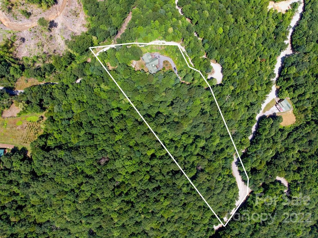 873 Nancy Mountain Road Rosman, NC 28772 - Photo 20 of 44 Gallery Image 20