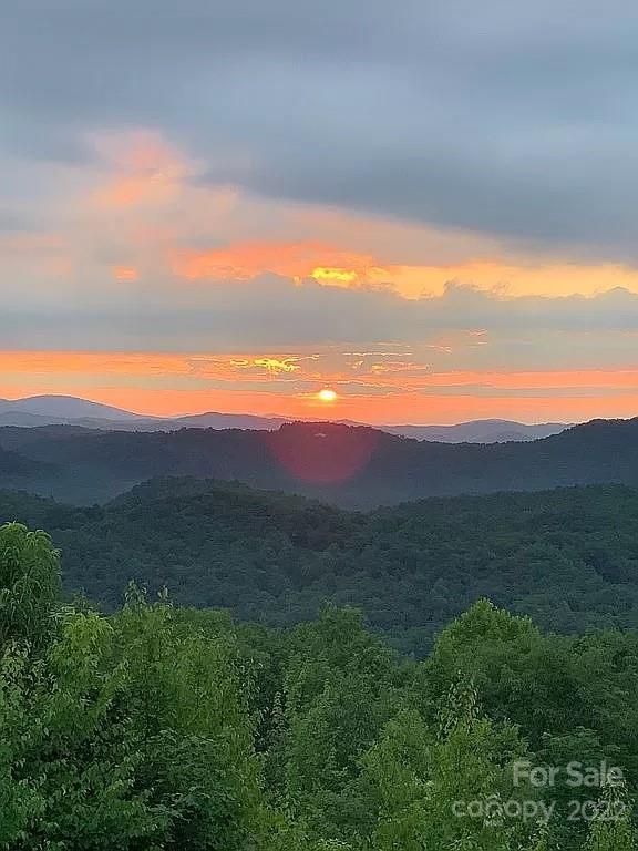 873 Nancy Mountain Road Rosman, NC 28772 - Photo 39 of 44 Gallery Image 39