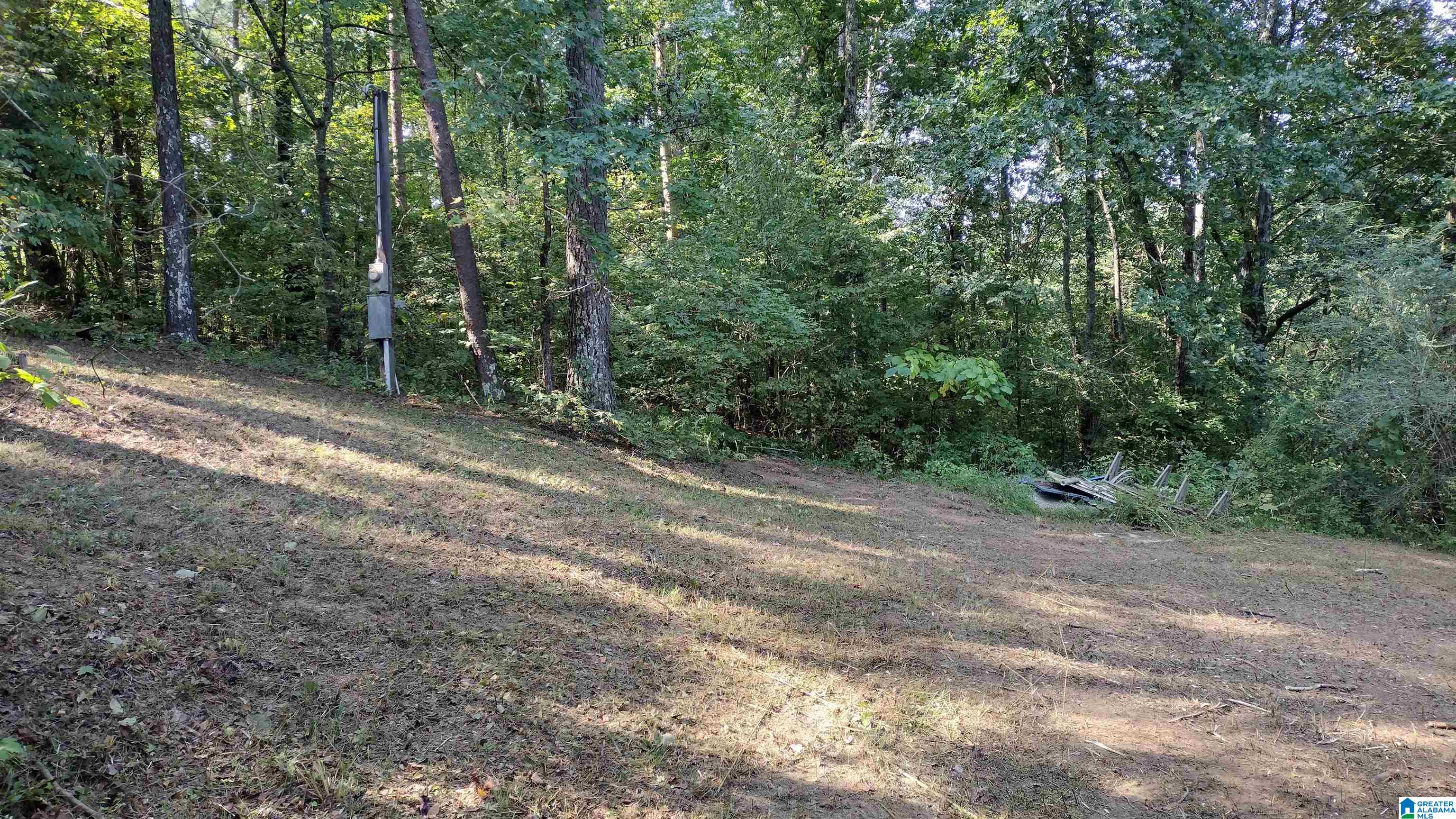 1205 Mulberry Hills Road, Unit 58 Hayden, AL 35079 - Photo 2 of 5