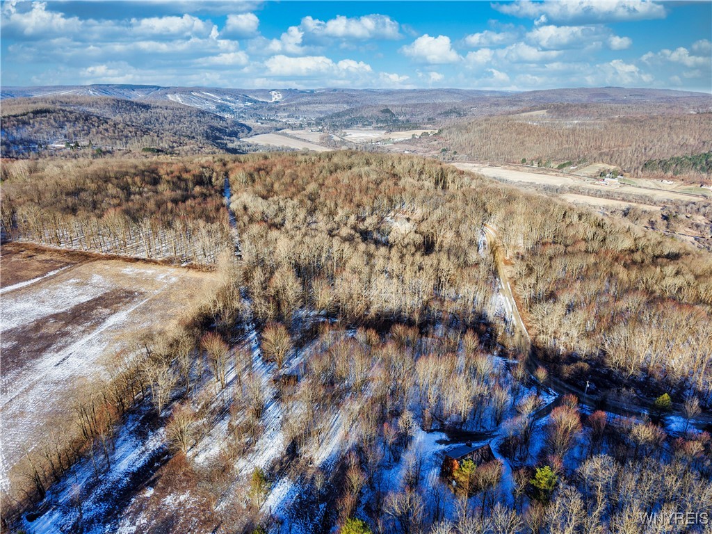 10-11 Creek Ridge Road Ellicottville, NY 14731 - Photo 12 of 16