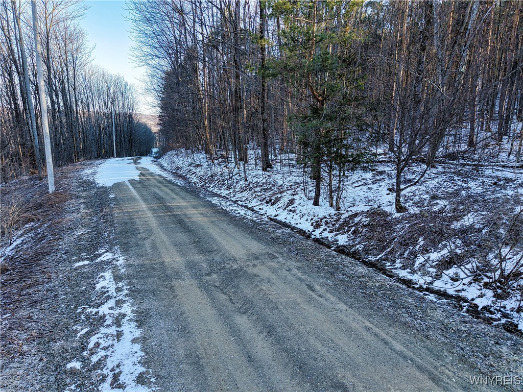 10-11 Creek Ridge Road Ellicottville, NY 14731 - Photo 3 of 16