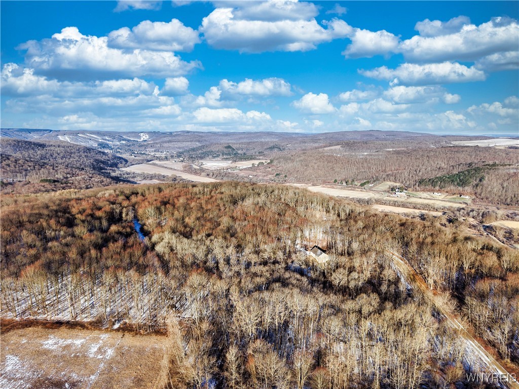 10-11 Creek Ridge Road Ellicottville, NY 14731 - Photo 5 of 16