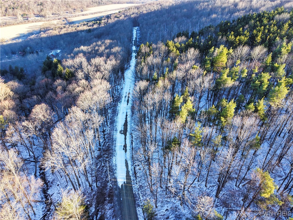 10-11 Creek Ridge Road Ellicottville, NY 14731 - Photo 6 of 16