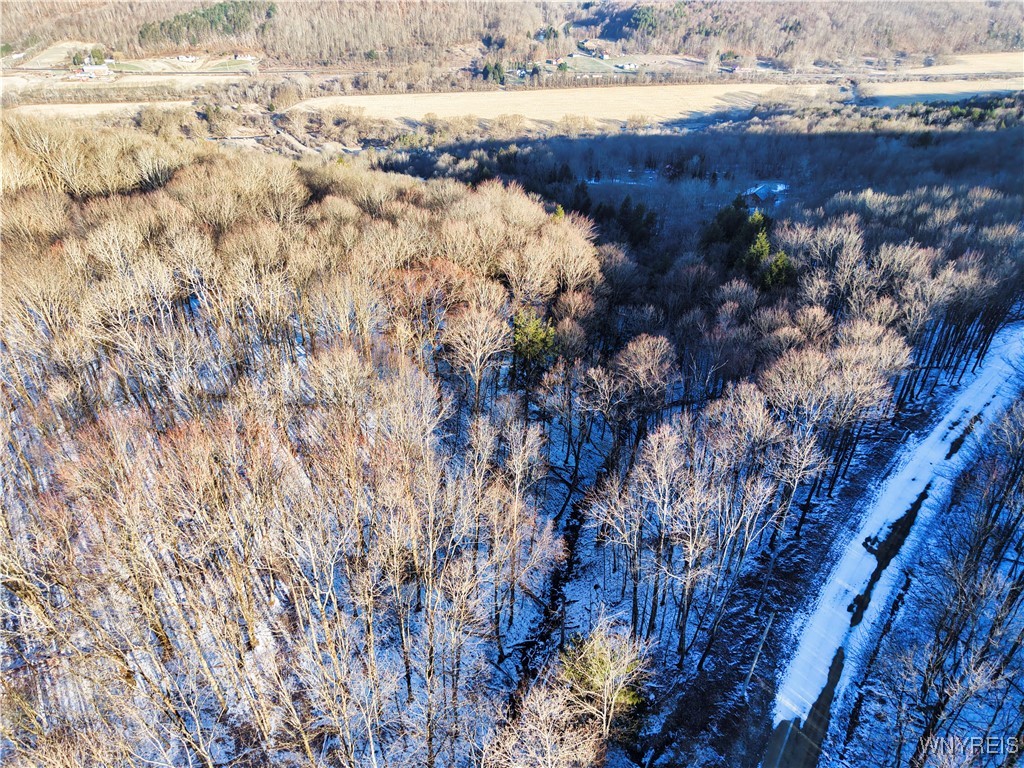 10-11 Creek Ridge Road Ellicottville, NY 14731 - Photo 7 of 16