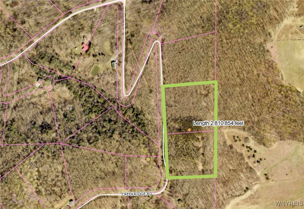 10-11 Creek Ridge Road Ellicottville, NY 14731 - Photo 8 of 16