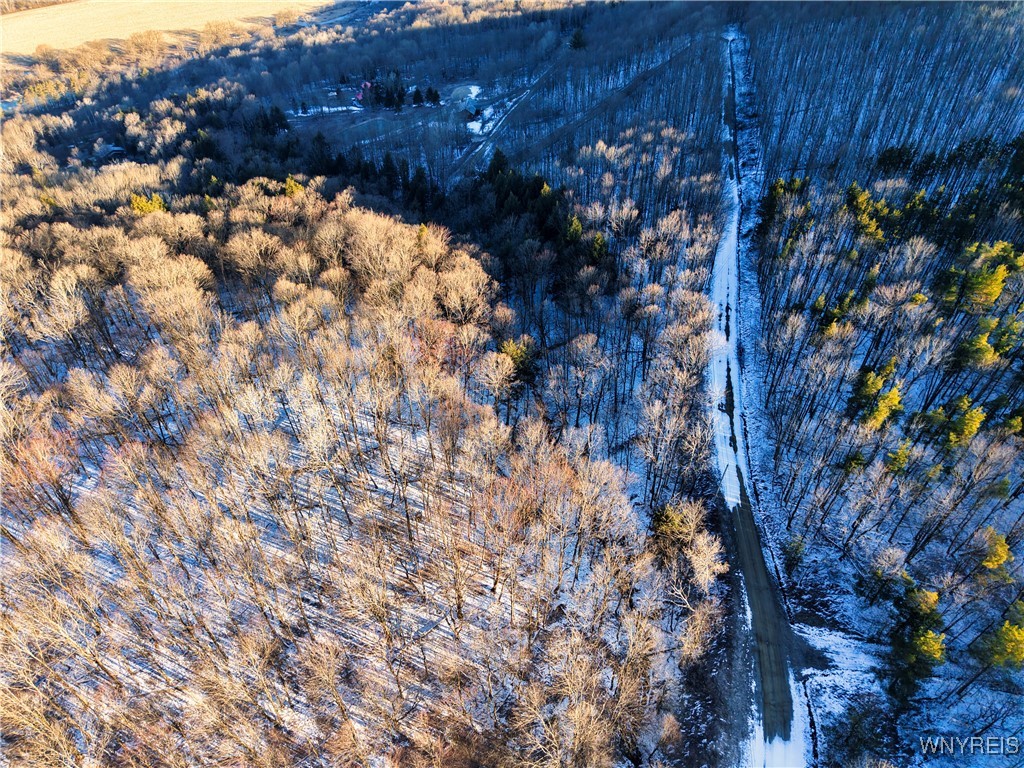 10-11 Creek Ridge Road Ellicottville, NY 14731 - Photo 9 of 16