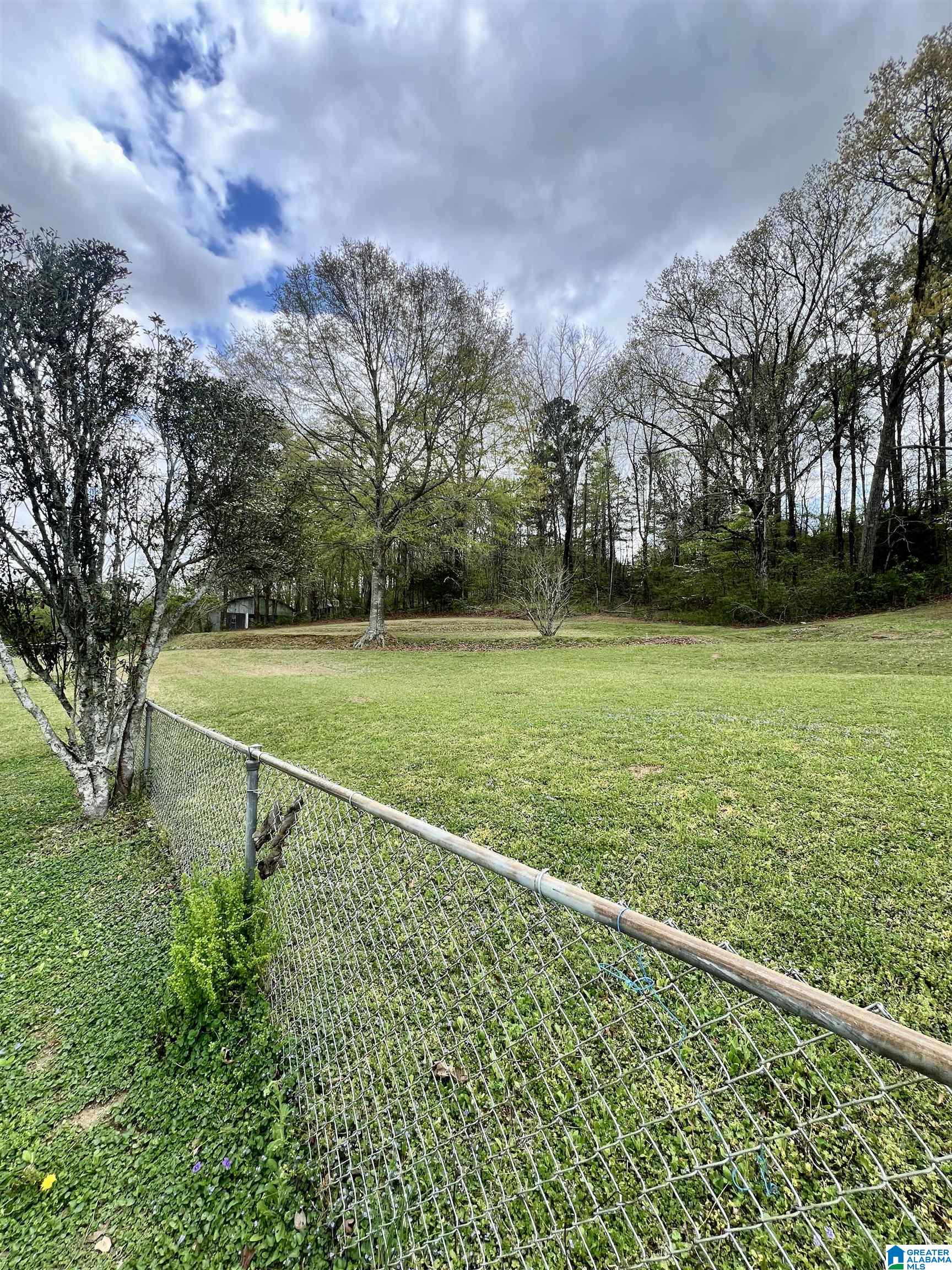 11958 Highway 144 Ragland, AL 35131 - Photo 25 of 27