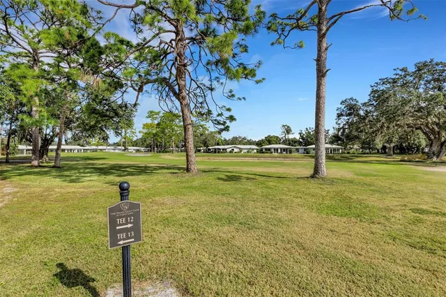 a view of a big yard with large trees