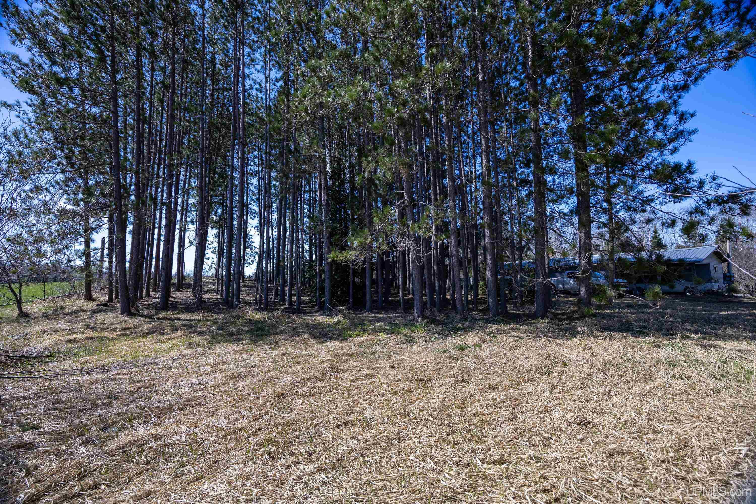 35698 Tapiola Road Chassell, MI 49916 - Photo 40 of 60