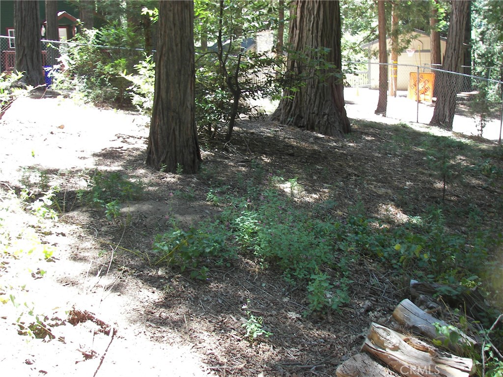 1101 Big Tree Lane Crestline, CA 92325 - Photo 3 of 30 a view of a tree in the middle of a yard