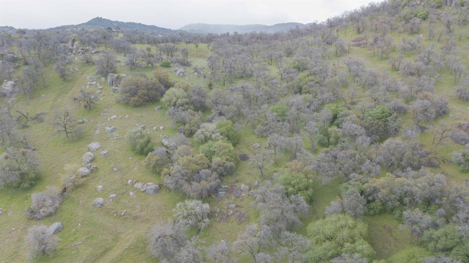 40478 Iris Road Squaw Valley, CA 93675 - Photo 66 of 92 Gallery Image 66