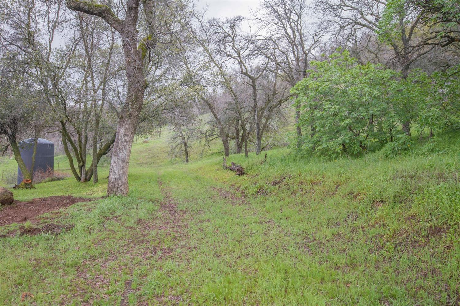40478 Iris Road Squaw Valley, CA 93675 - Photo 72 of 92 Gallery Image 72