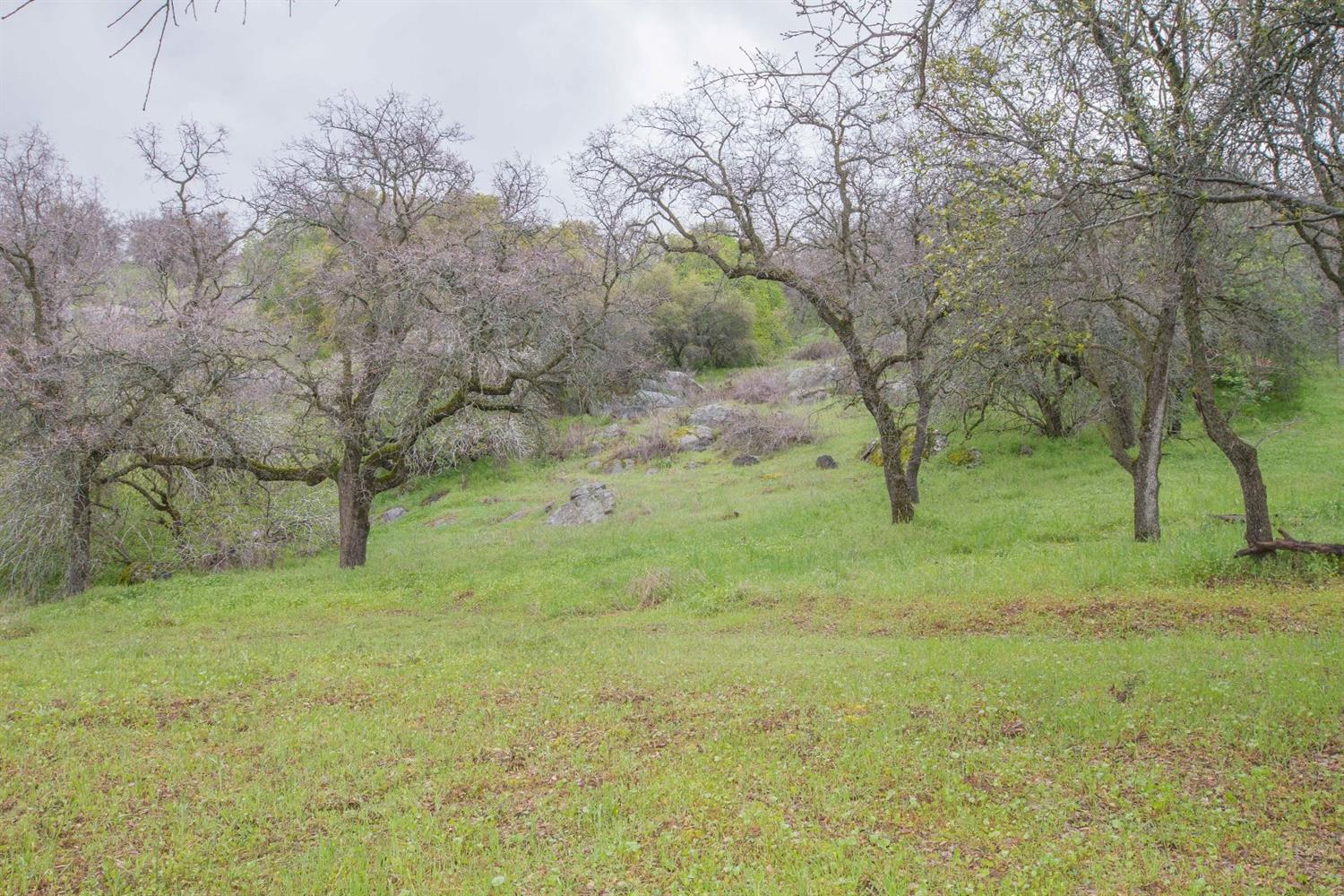 40478 Iris Road Squaw Valley, CA 93675 - Photo 73 of 92 Gallery Image 73