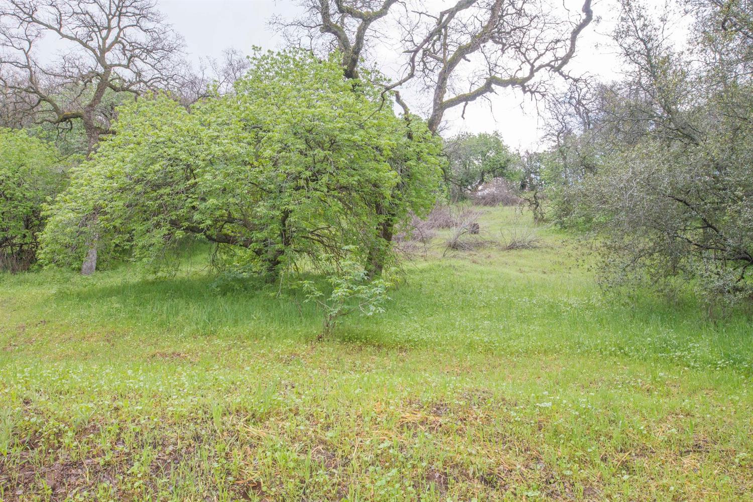 40478 Iris Road Squaw Valley, CA 93675 - Photo 80 of 92 Gallery Image 80