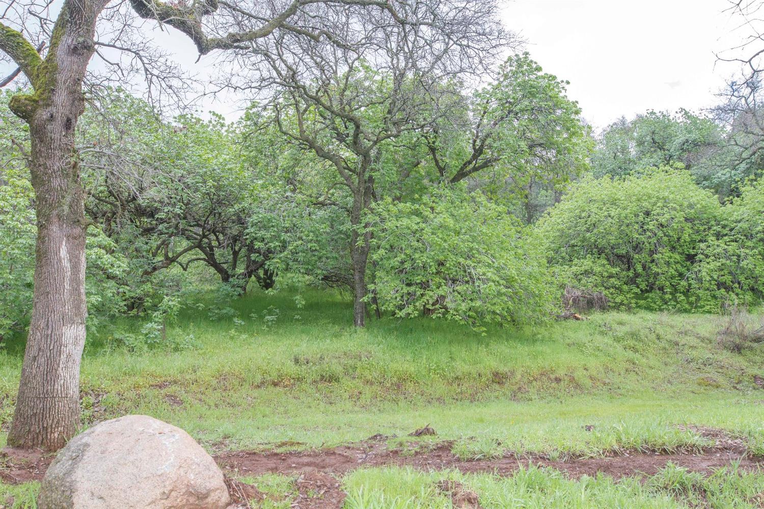 40478 Iris Road Squaw Valley, CA 93675 - Photo 81 of 92 Gallery Image 81