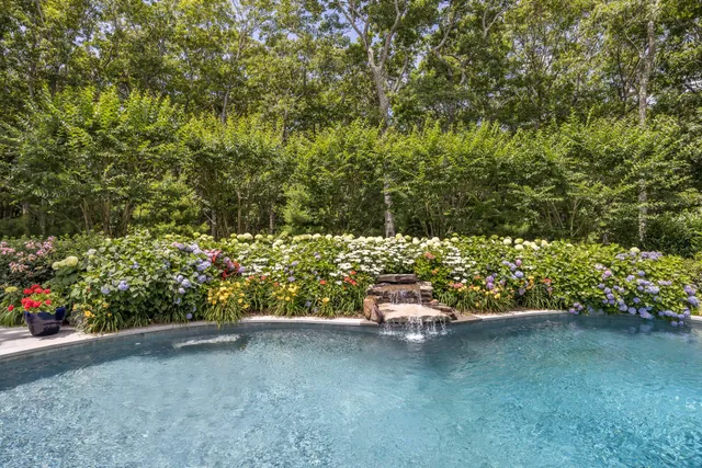a view of a garden with plants and a bench