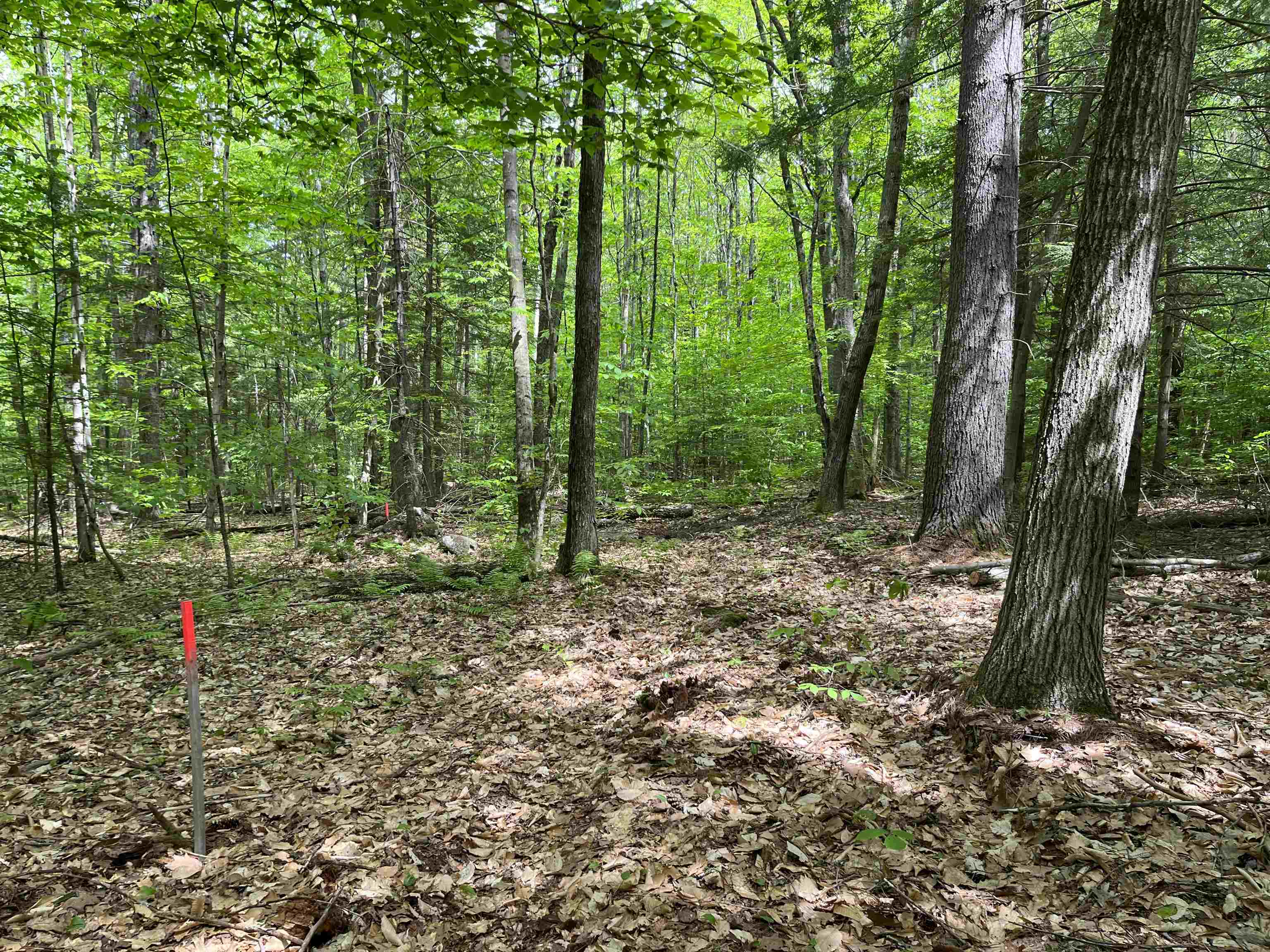 Cornwell Road Greenfield, NH 03047 - Photo 2 of 6