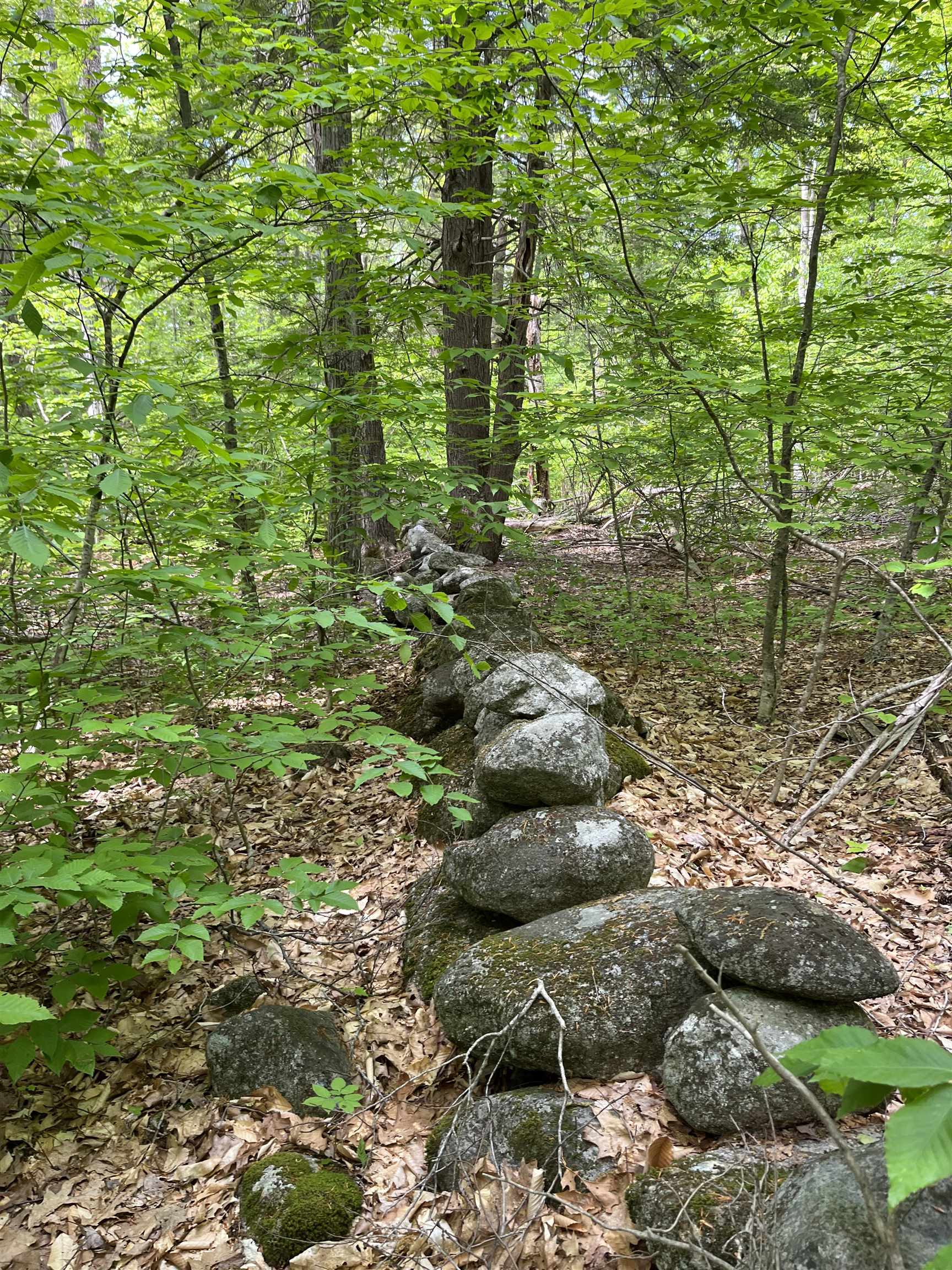 Cornwell Road Greenfield, NH 03047 - Photo 6 of 6