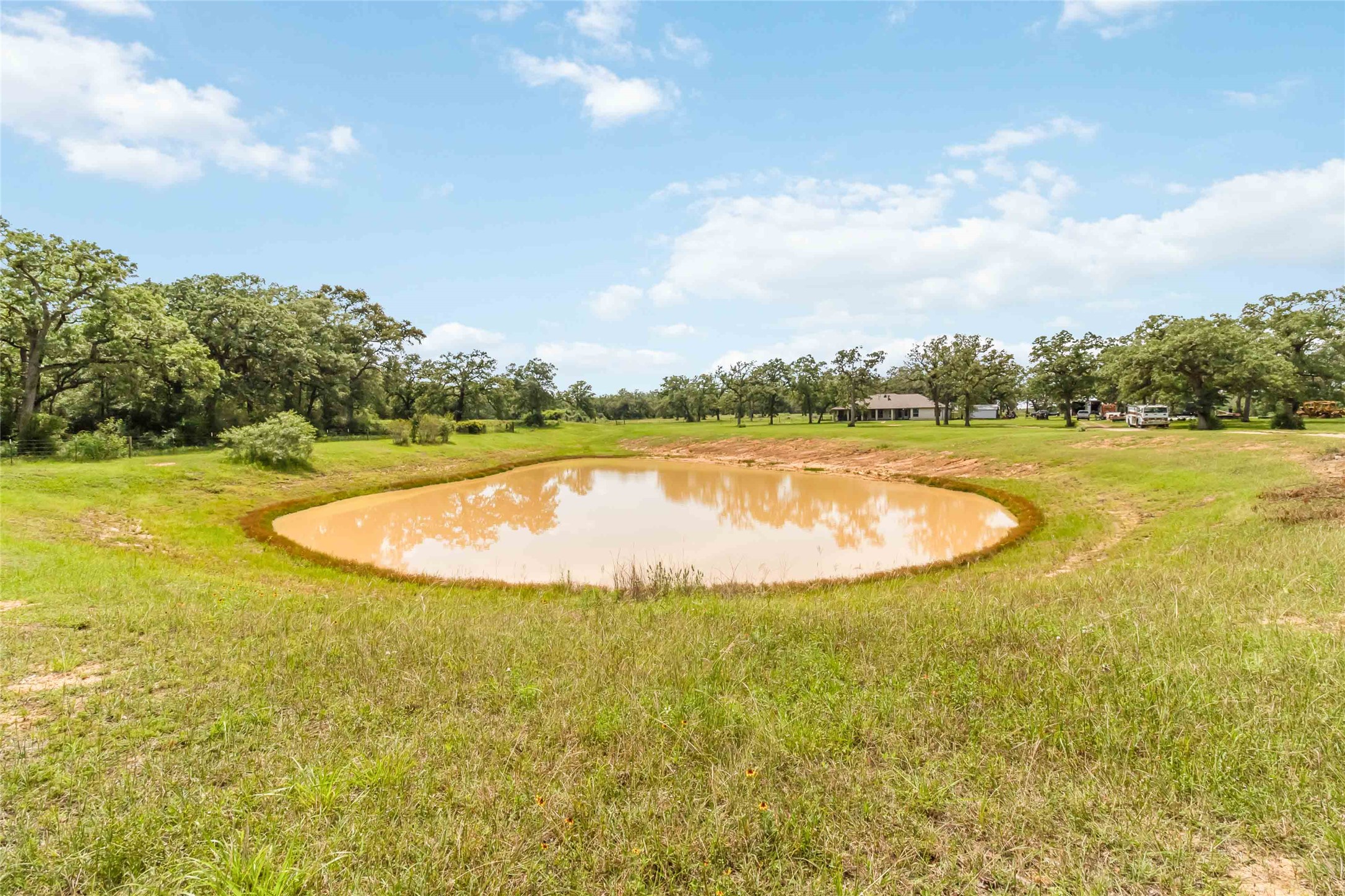 1208 Jeddo Road Rosanky, TX 78953 - Photo 30 of 40 A tranquil pond graces this verdant landscape, promising peaceful outdoor living.