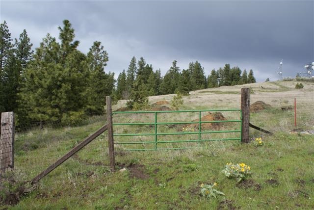 5900 South Elk Ridge Lane Spokane, WA 99223 - Photo 8 of 10