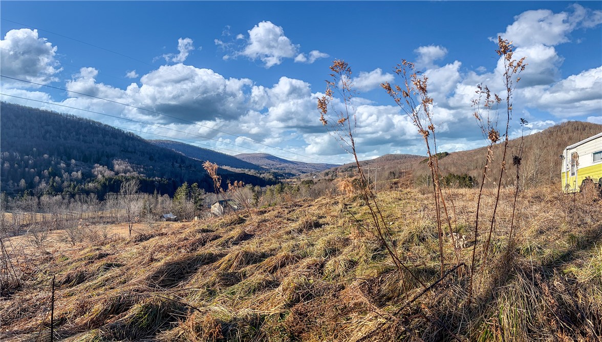 26 Federal Hill Road Delhi, NY 13753 - Photo 11 of 50