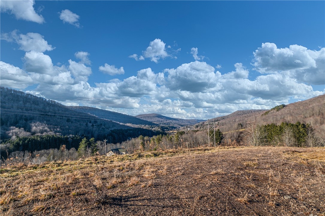 26 Federal Hill Road Delhi, NY 13753 - Photo 12 of 50