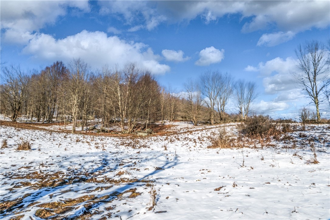 26 Federal Hill Road Delhi, NY 13753 - Photo 15 of 50