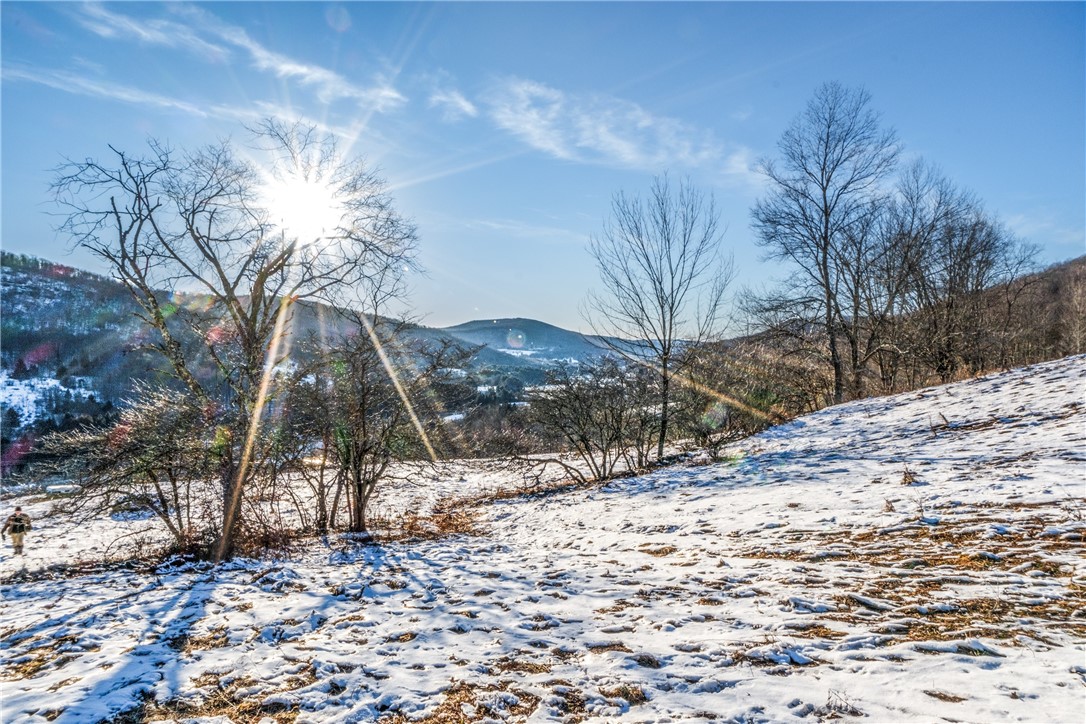 26 Federal Hill Road Delhi, NY 13753 - Photo 16 of 50