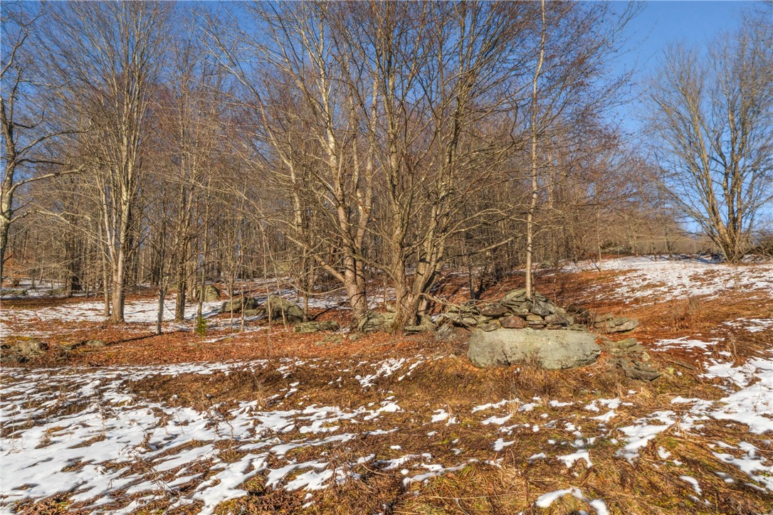 26 Federal Hill Road Delhi, NY 13753 - Photo 17 of 50