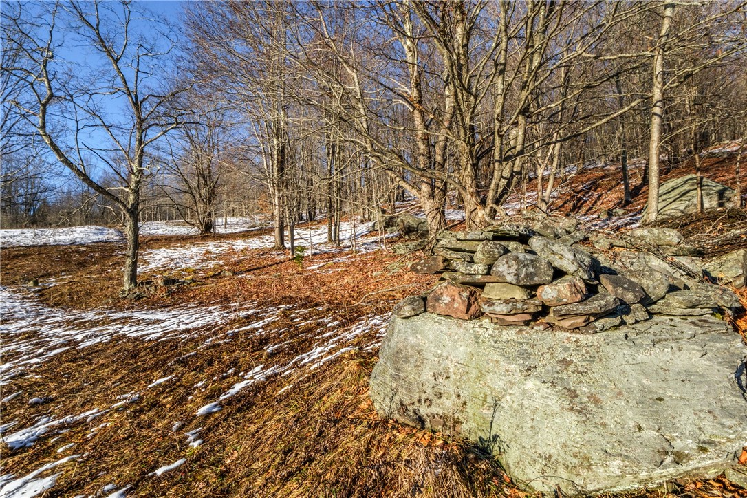 26 Federal Hill Road Delhi, NY 13753 - Photo 18 of 50