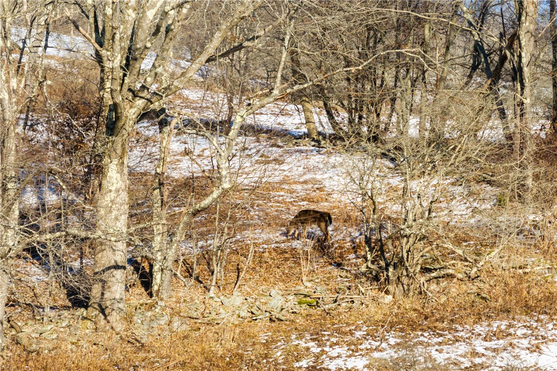 26 Federal Hill Road Delhi, NY 13753 - Photo 19 of 50