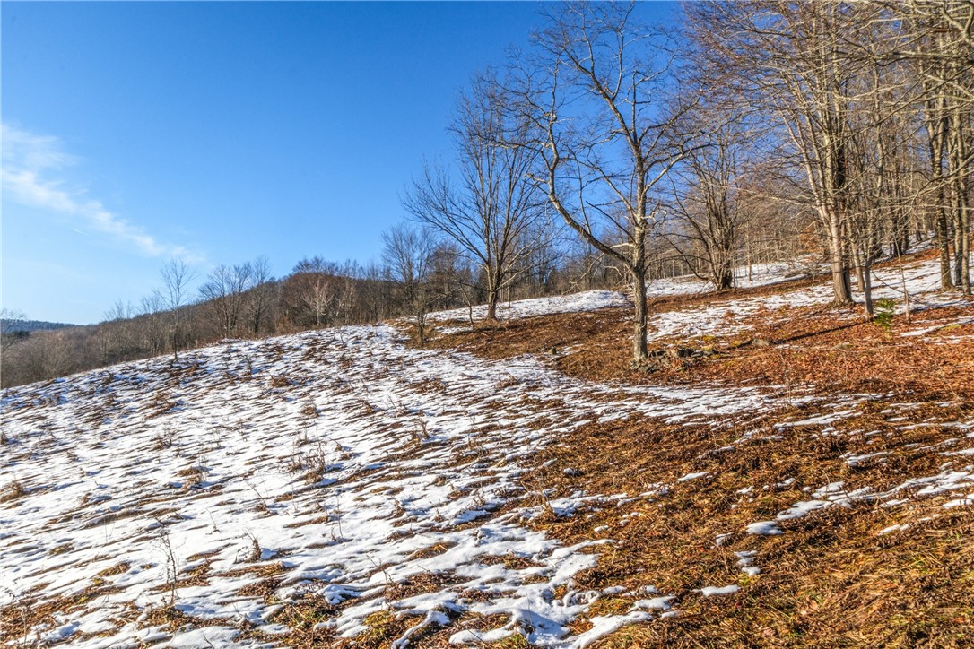 26 Federal Hill Road Delhi, NY 13753 - Photo 20 of 50