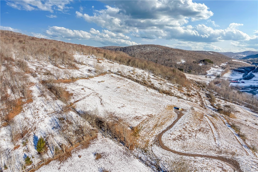 26 Federal Hill Road Delhi, NY 13753 - Photo 2 of 50