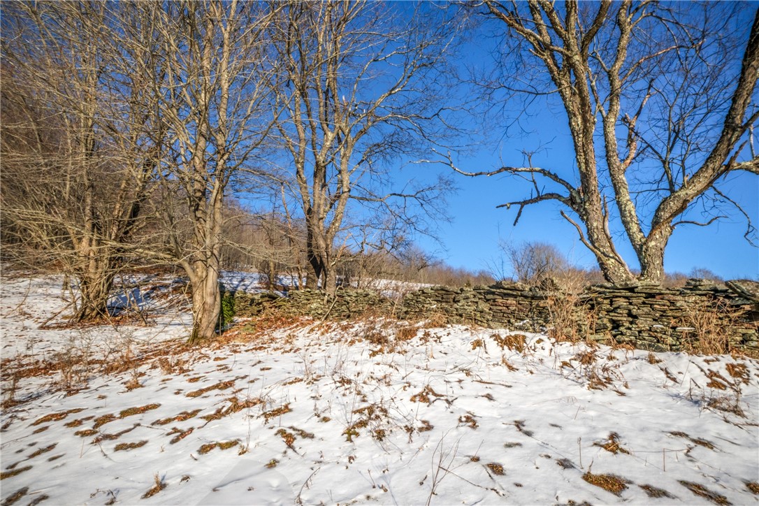 26 Federal Hill Road Delhi, NY 13753 - Photo 21 of 50