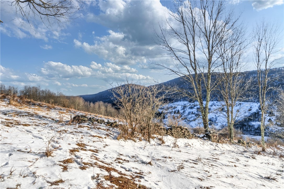 26 Federal Hill Road Delhi, NY 13753 - Photo 22 of 50