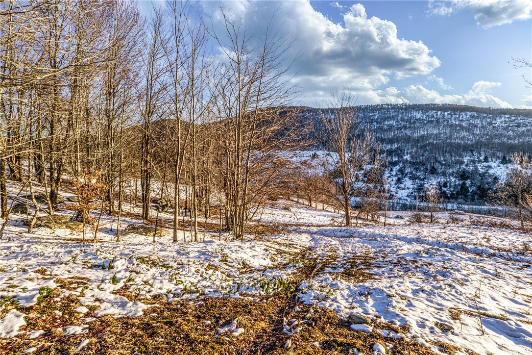 26 Federal Hill Road Delhi, NY 13753 - Photo 23 of 50