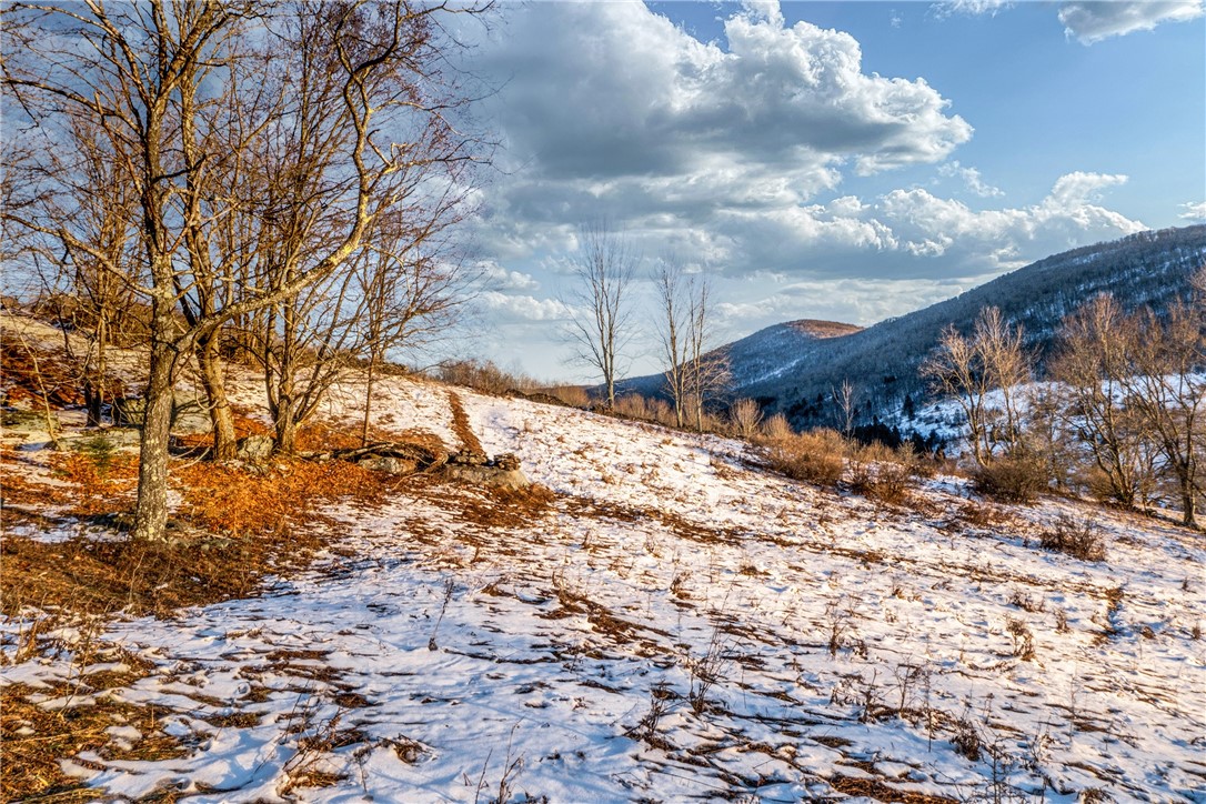 26 Federal Hill Road Delhi, NY 13753 - Photo 24 of 50