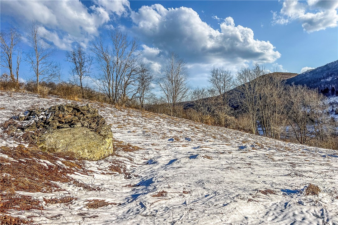 26 Federal Hill Road Delhi, NY 13753 - Photo 25 of 50